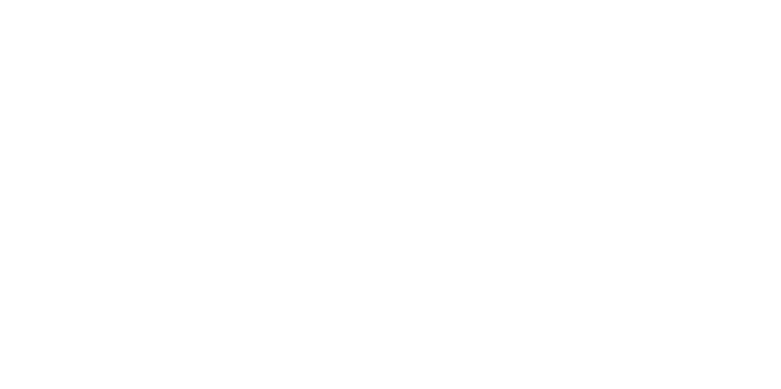 SS Enviro Logo